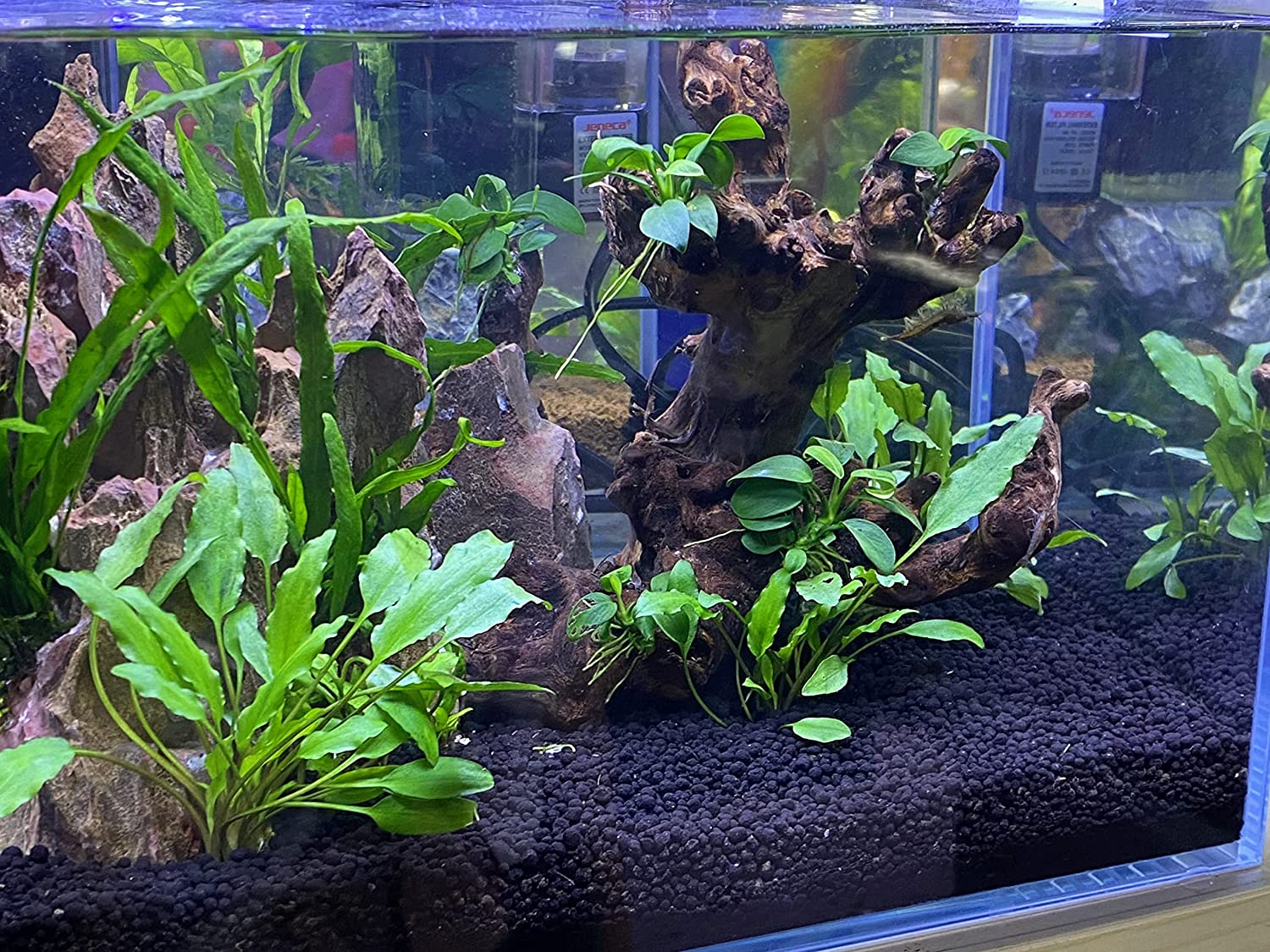 aquarium plant soil substrate