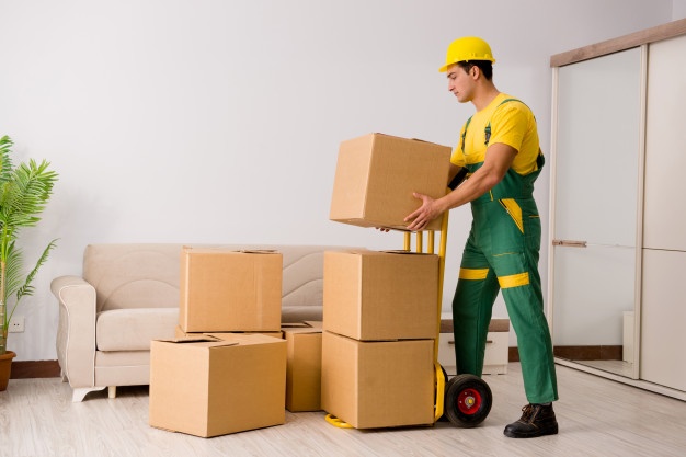 Movers and Packers