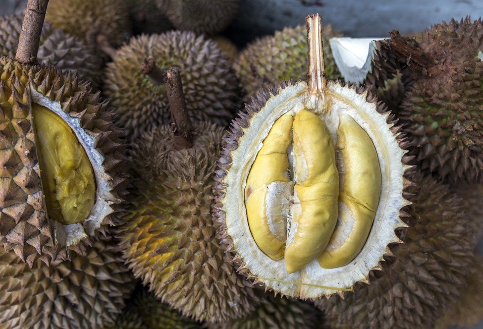 Durian Delivery