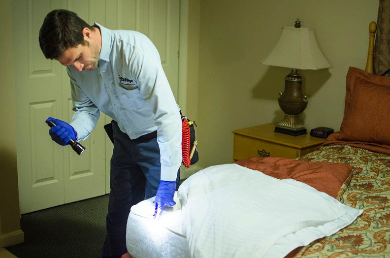 The Importance of Follow-Up Visits from Your Bed Bug Exterminator