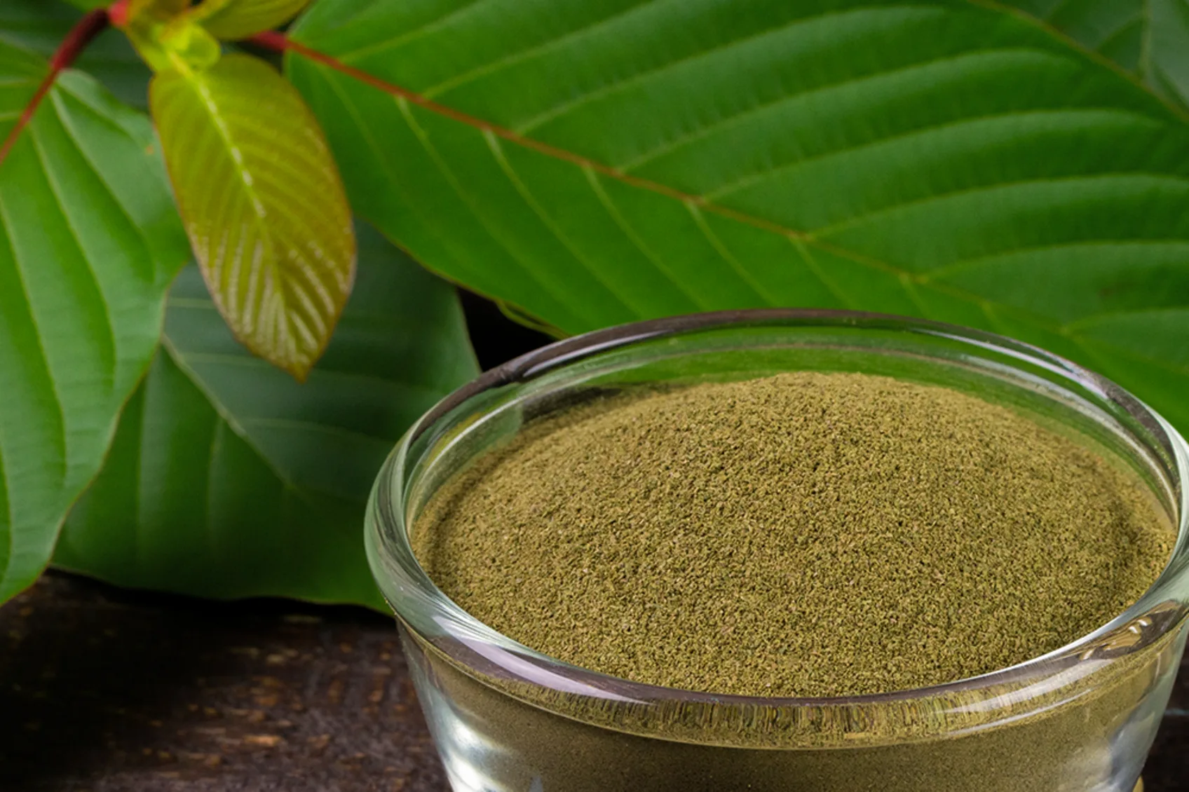 malay kratom strains