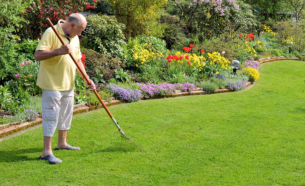 Questions to ask the gardener you hired